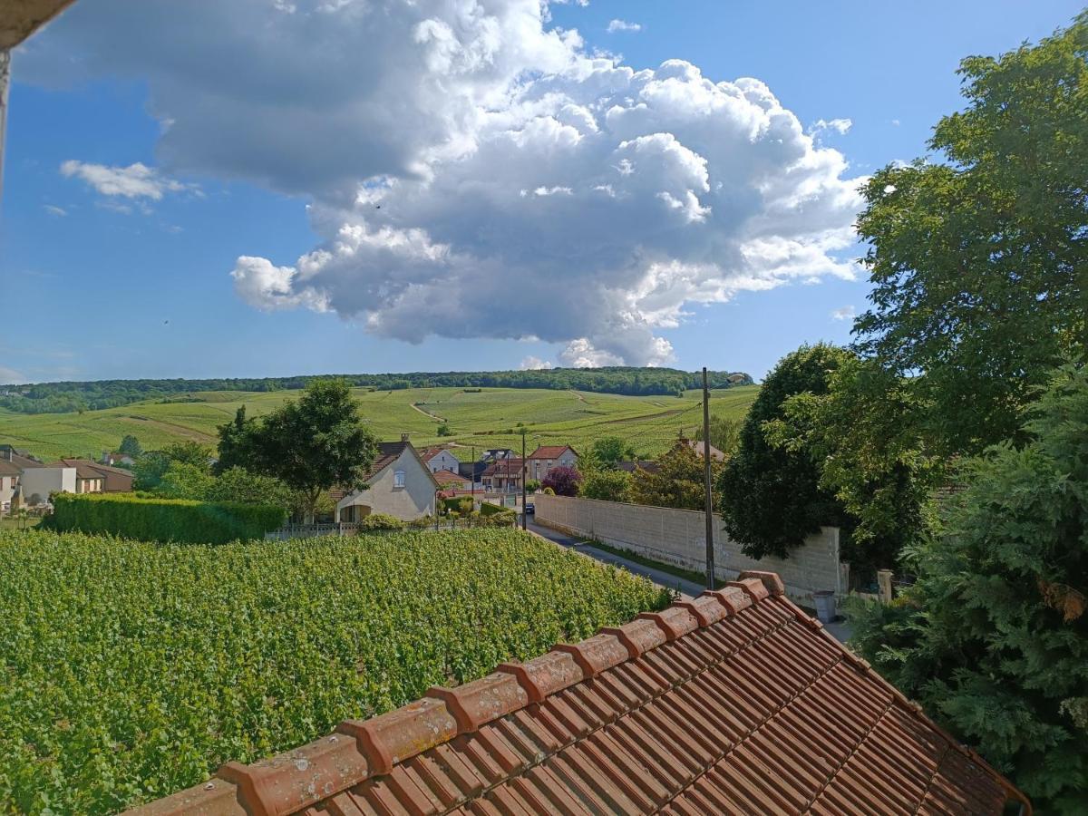 Gite Independant Diz'Enreves Au Coeur Des Vignes Dizy Exteriör bild