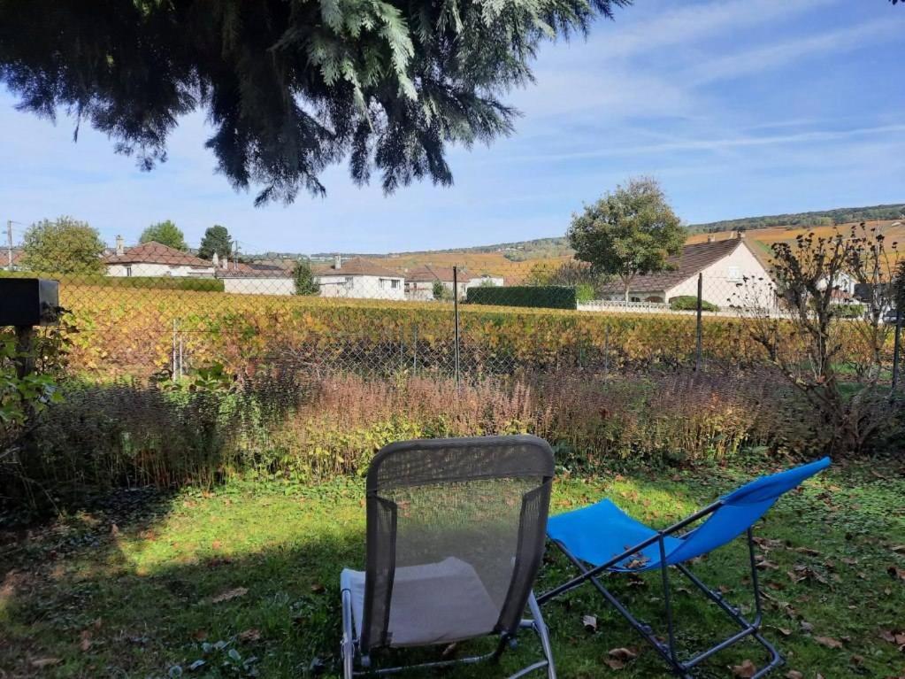 Gite Independant Diz'Enreves Au Coeur Des Vignes Dizy Exteriör bild